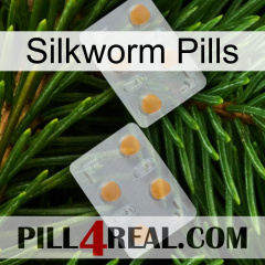 Silkworm Pills 25